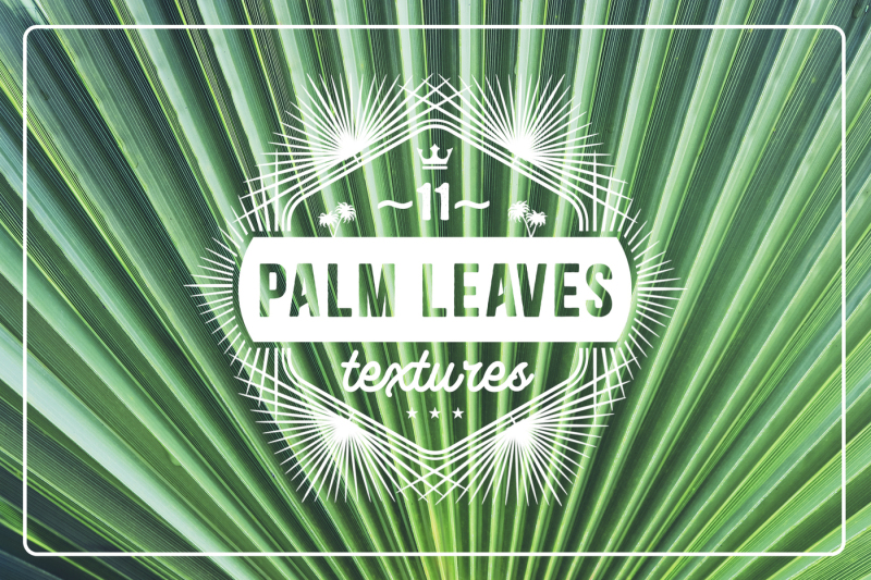 11 Palm Leaves Textures By Textures Overlays Store TheHungryJPEG