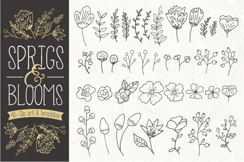 Sprigs Blooms Clip Art Vectors By The Pen And Brush Thehungryjpeg