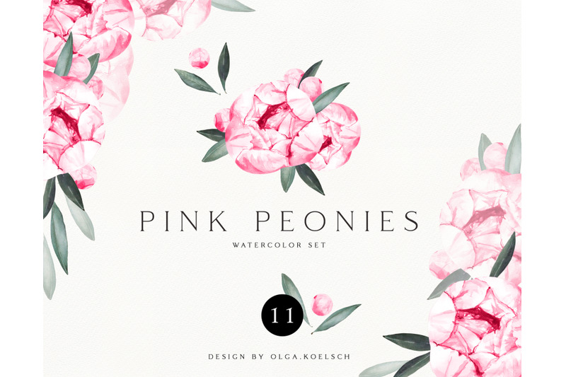 Watercolor Peony Flowers Clipart Wedding Flowers Png By Olga Koelsch