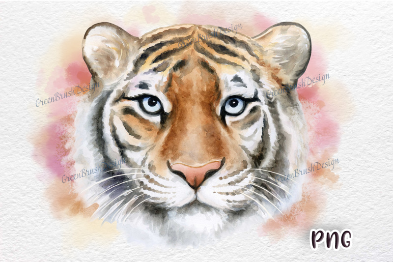 Tiger Clipart Watercolor By Yuliia Shmadchenko Thehungryjpeg