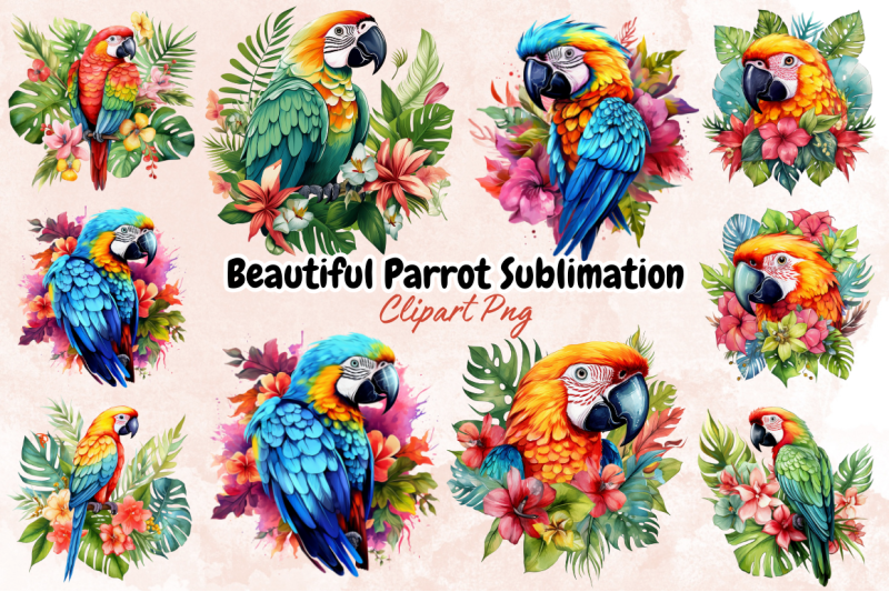 Beautiful Parrot Sublimation Clipart By Bundlestshirt Thehungryjpeg