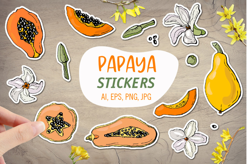 Papaya Printable Stickers Cricut Design By HelgaKOV TheHungryJPEG