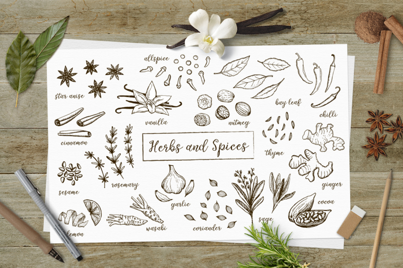 Herbs And Spices Sketches Vector And Clipart By Anna Elesina