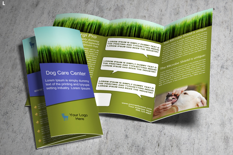 Pet Care Trifold Brochure By Ayme Designs Thehungryjpeg