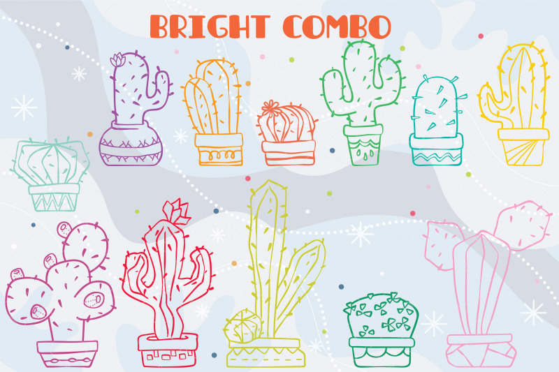 Colored Cactus In Flower Pots Succulent Tropical House Plants By