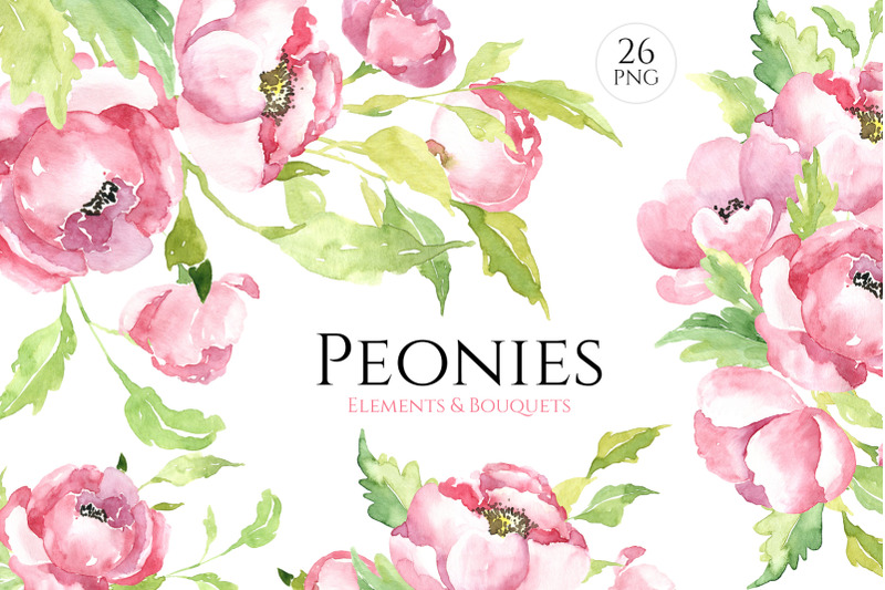 Pink Watercolor Flowers Peonies Png By WatercolorFlowers | TheHungryJPEG