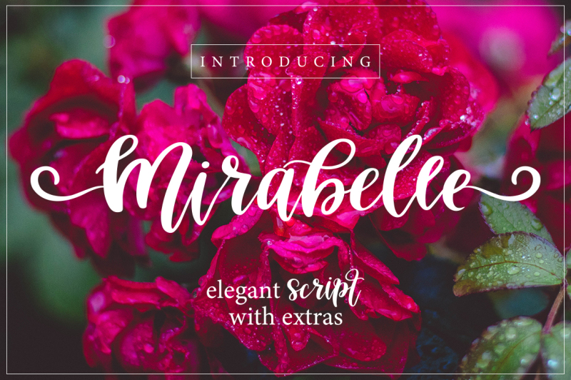 Mirabelle Script Font with Extras! By Qilli Design | TheHungryJPEG