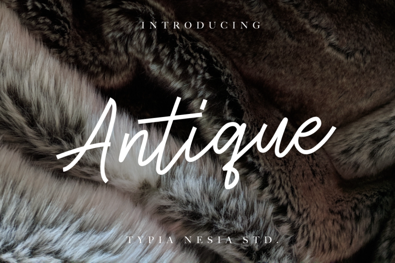 Antique By Typia Nesia Thehungryjpeg