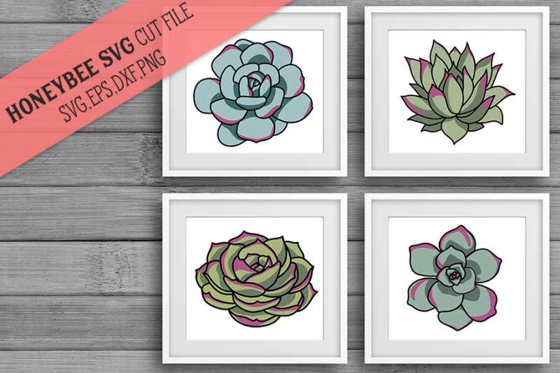 Succulent Botanical Svg Bundle Scalable Vector Graphics Design Free Graphic Design Resources