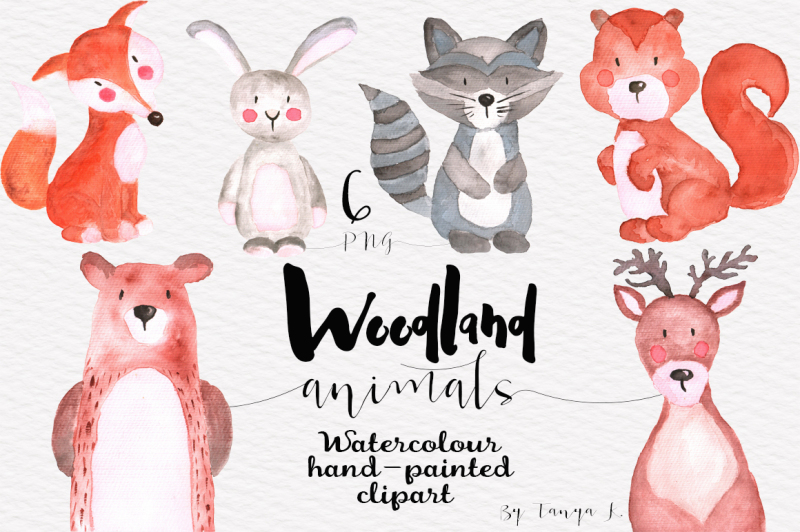 Woodland Animals Watercolor Collection By Tanya Kart | TheHungryJPEG