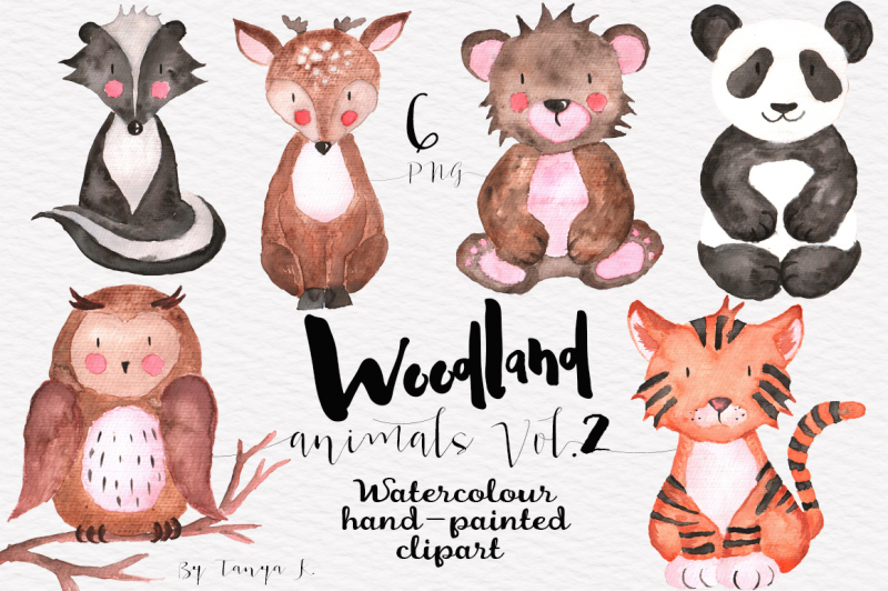 Woodland Animals Vol.2 Watercolor Set By Tanya Kart | TheHungryJPEG