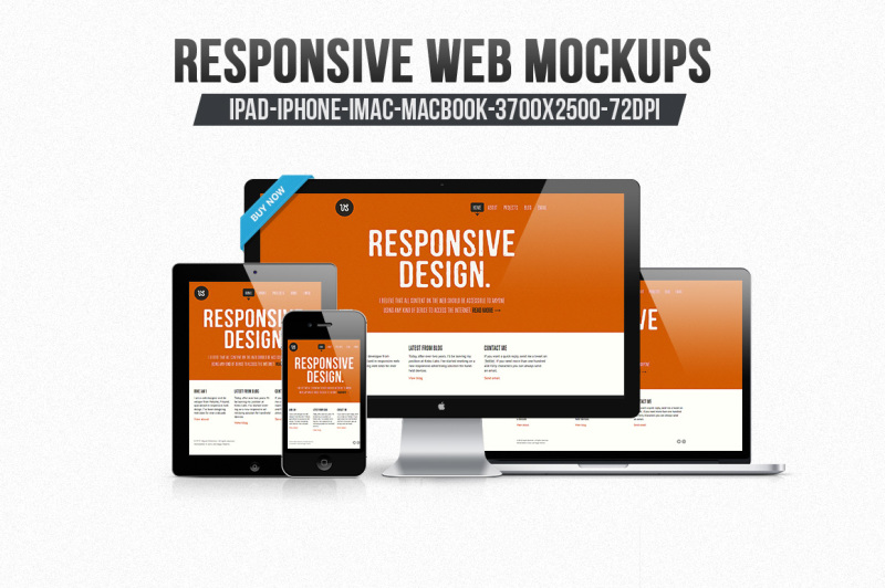 12 Responsive Web Mockups By graphicon | TheHungryJPEG