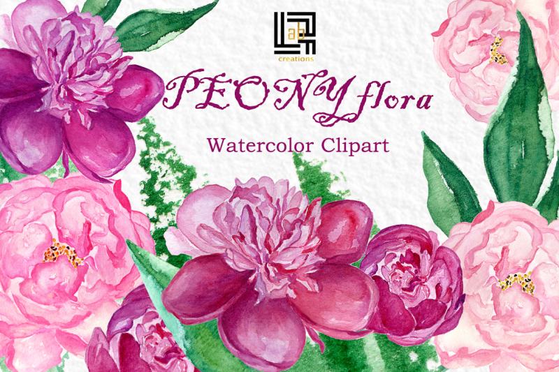 Peony flora. Watercolor clipart. Garden purple flowers. By ...