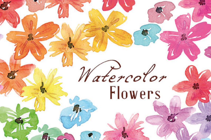 Hand painted Watercolor Floral Theme.