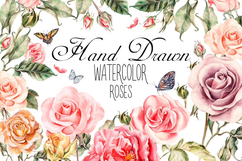 Hand drawn watercolor roses By Knopazyzy shop | TheHungryJPEG