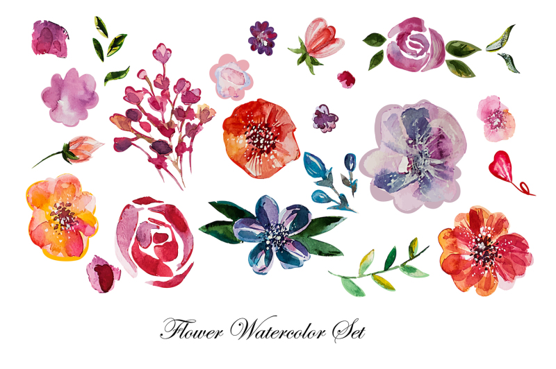 Watercolor flowers set By ALISA KATREVICH | TheHungryJPEG