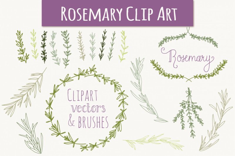 Rosemary Clip Art & Vectors By The Pen and Brush | TheHungryJPEG