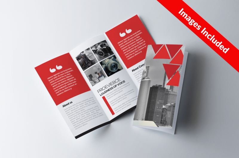 Tri Fold Brochure Template By Designhub | TheHungryJPEG