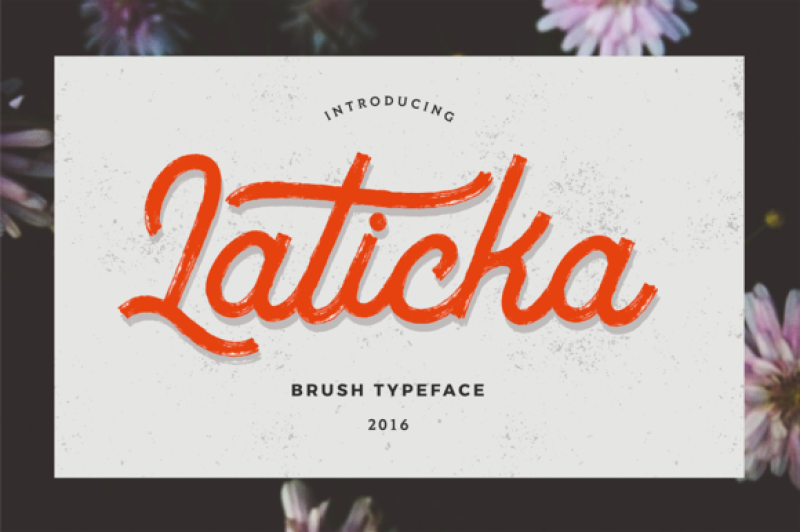 Laticka Brush Script By Type Studio Thehungryjpeg Com