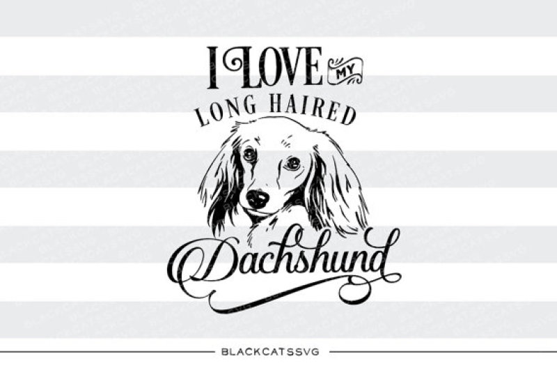 I Love My Long Haired Dachshund Svg File By Blackcatssvg Thehungryjpeg Com