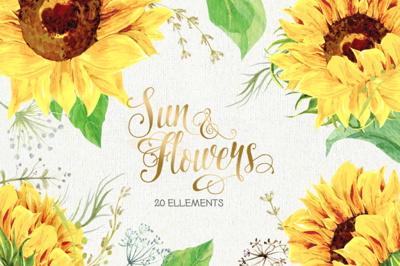 Sunflowers clipart By FoxStyleStudio | TheHungryJPEG