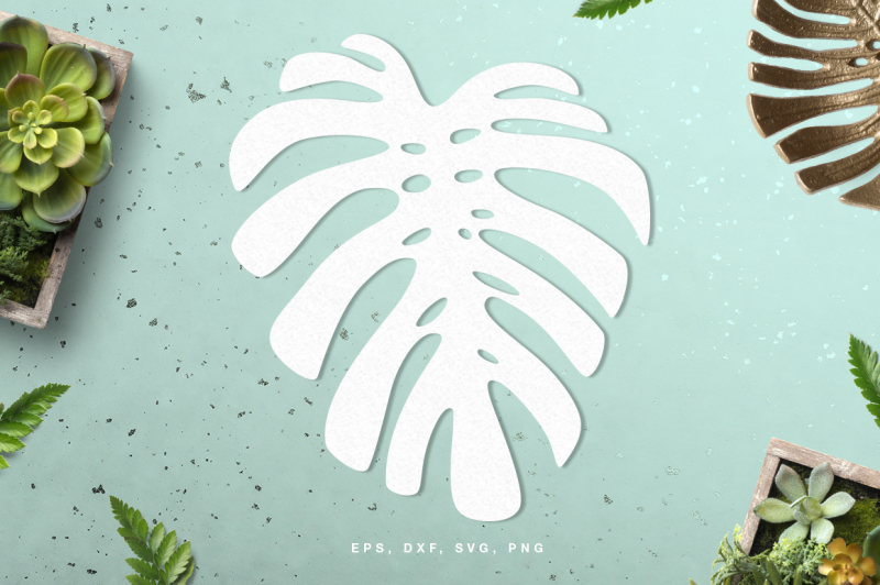 Download Free Monstera Leaf Digital Cut File Svg Dxf Png Eps Crafter File Free Svg Files For Cricut Silhouette And Brother Scan N Cut