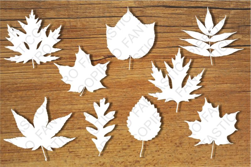 Download Free Leaves Svg Files For Silhouette Cameo And Cricut Crafter File Free Templates Svg Cut Files