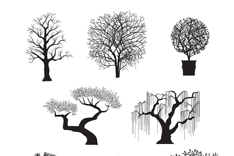 Download Set Of Tree Silhouettes By Alexzel Thehungryjpeg Com