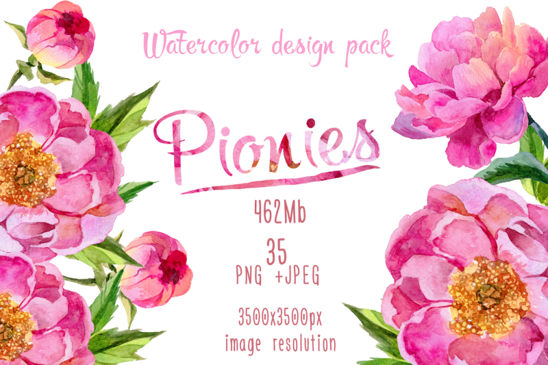 Paradise Pink Peonies Png Watercolor Set By Mystocks 