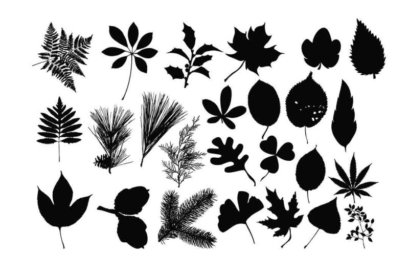 Download Free Leaves Silhouette Svg Dxf Eps Png Ai Crafter File ...