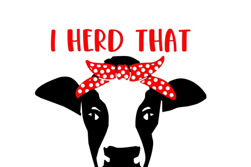 Download Heifer Cow with bandana SVG By Jen DCD | TheHungryJPEG.com