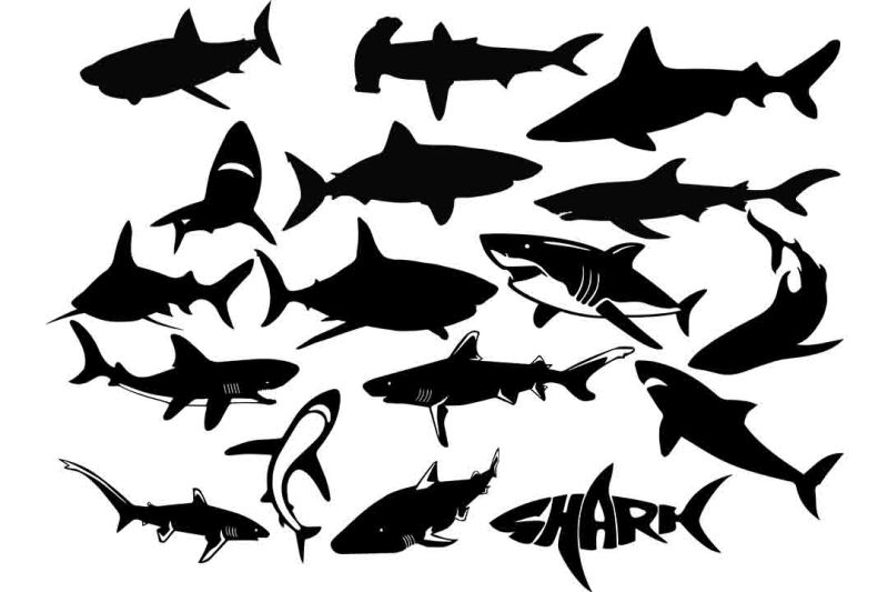 Dxf Shark Svg Jpg Vector Art Shark Cut File Clipart Shark Waves Svg Waves Cut File Ocean Cut File Fish Svg Png Cut File Eps