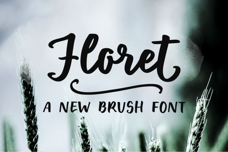 Floret A Brush Font Family By Ana S Fonts Thehungryjpeg Com
