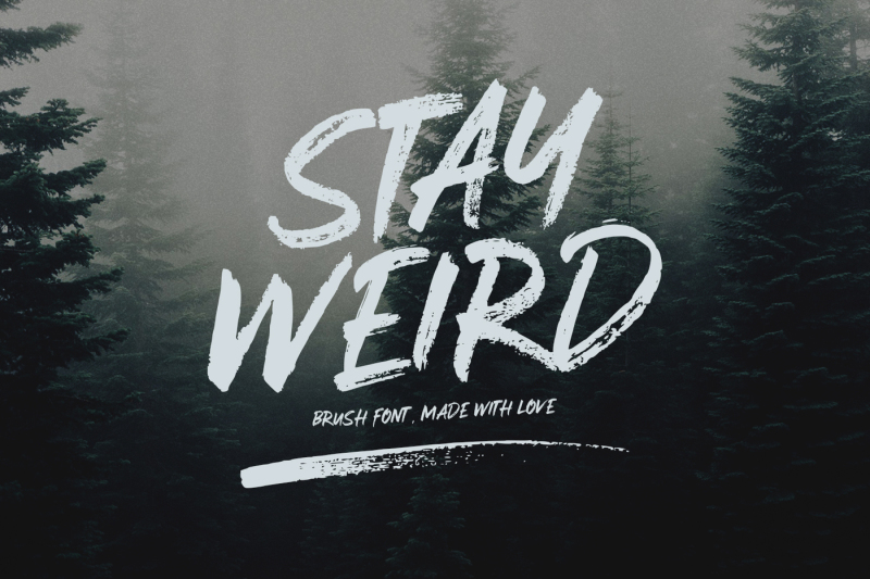 Stay Weird Brush Font Swashes By Sameeh Store Thehungryjpeg Com