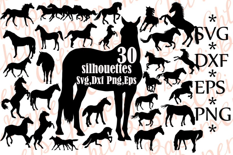 Download Horse Silhouette Svg, HORSE CLIPART, Horse Svg Bundle,Animal Silhouet By ChiliPapers ...