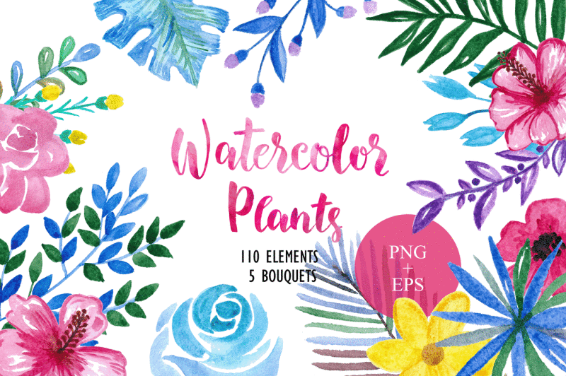 Watercolor Floral Set By Liliya | TheHungryJPEG