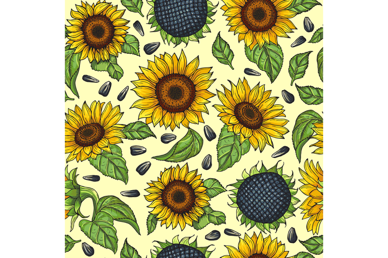 Background illustration with sunflowers and place for your text By ONYX ...