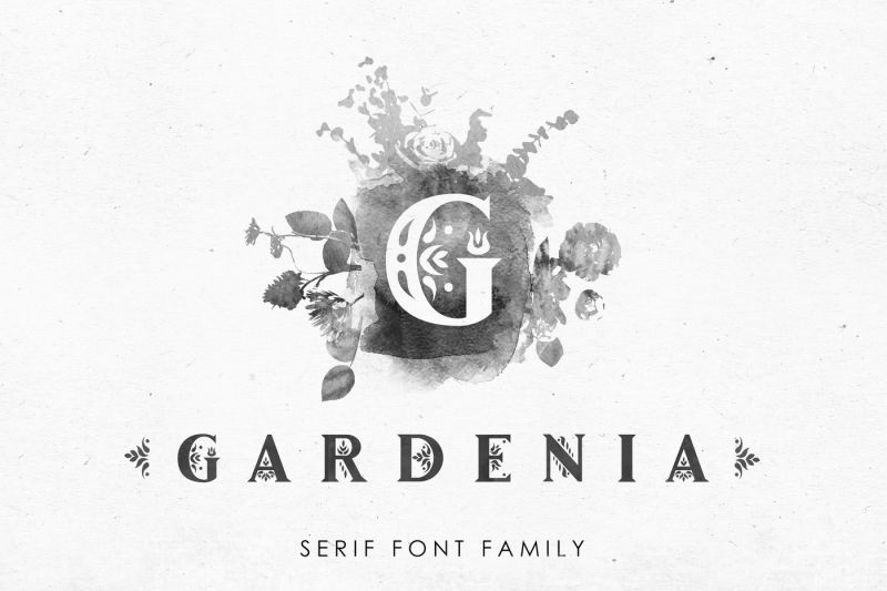 Gardenia Serif Font Family By Struvictory Art Thehungryjpeg Com