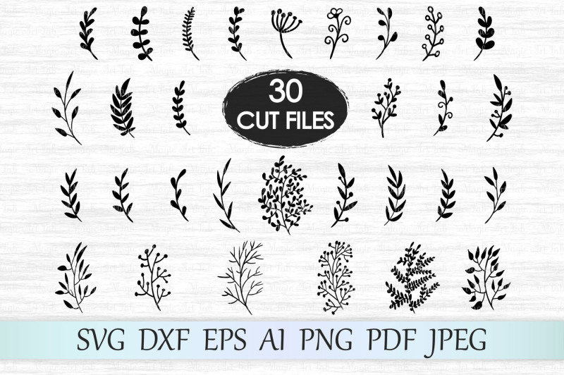 Download Leaf, Leaves, Branches SVG, DXF, EPS, AI, PNG, PDF, JPEG ...