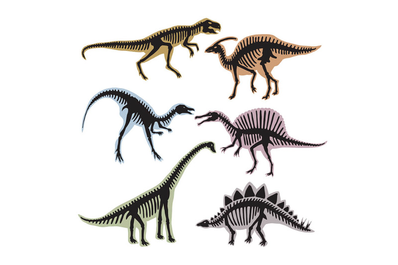 Skeleton of dinosaurs. Vector silhouette of tyrannosaurus, diplodocus ...