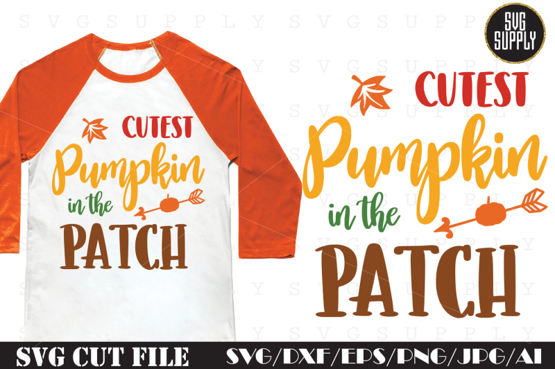 Cutest Pumpkin SVG Cut File By SVGSUPPLY | TheHungryJPEG