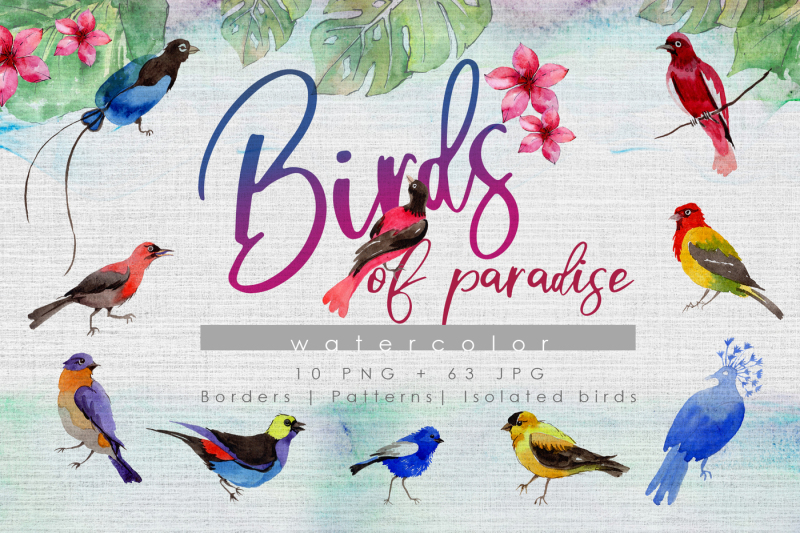 Birds of paradise PNG watercolor set By MyStocks | TheHungryJPEG