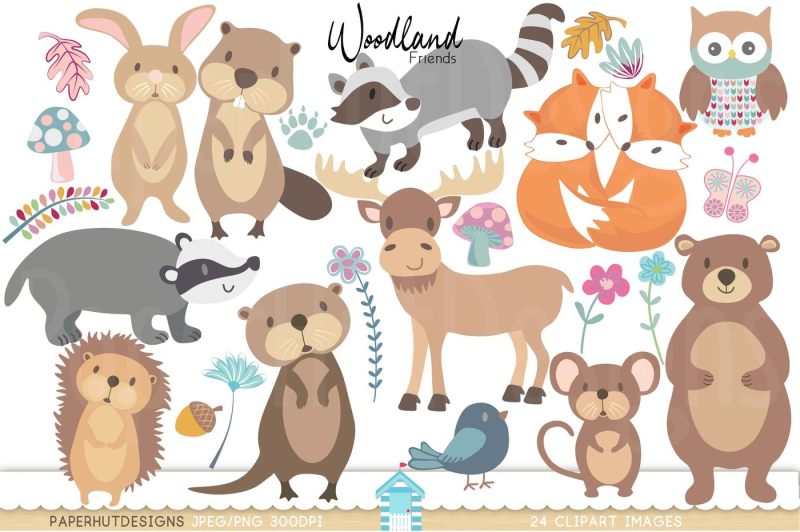 woodland Animals Clipart By PaperHutDesigns | TheHungryJPEG