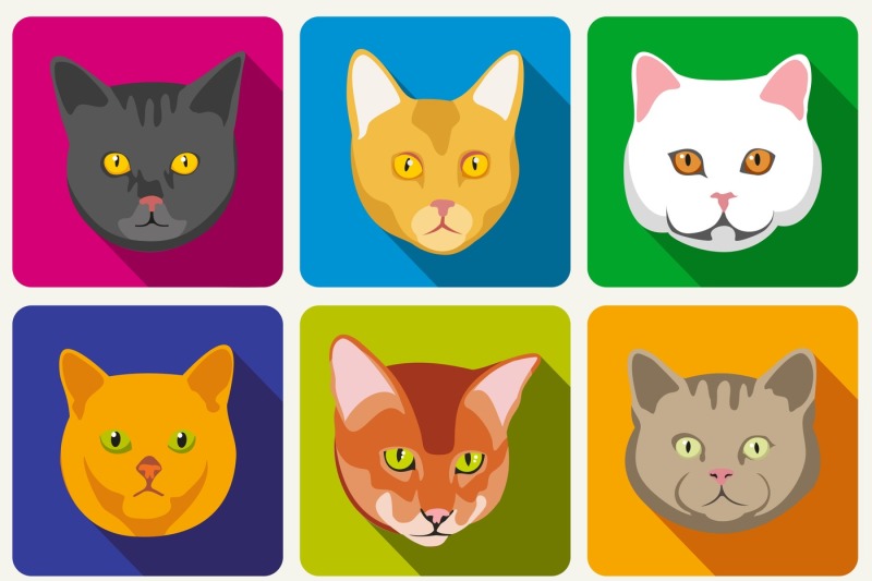 Cat portraits vector collection By Microvector | TheHungryJPEG