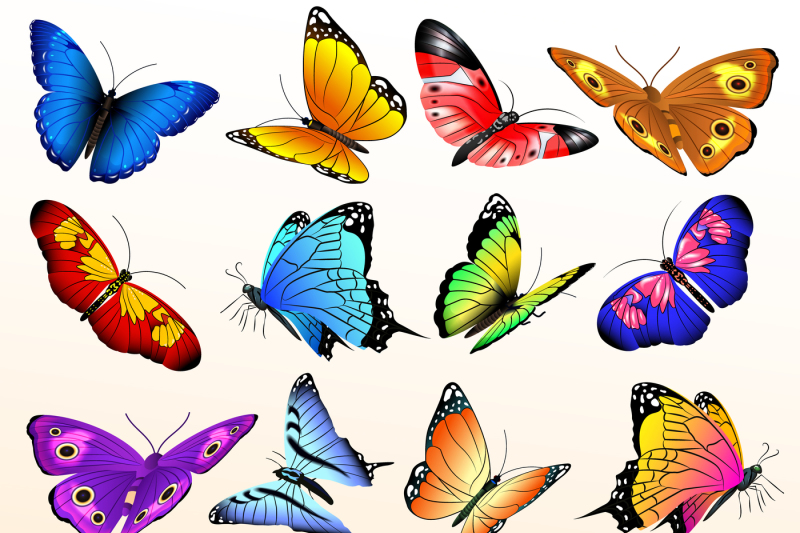 Butterfly net and colorful butterflies classic Vector Image