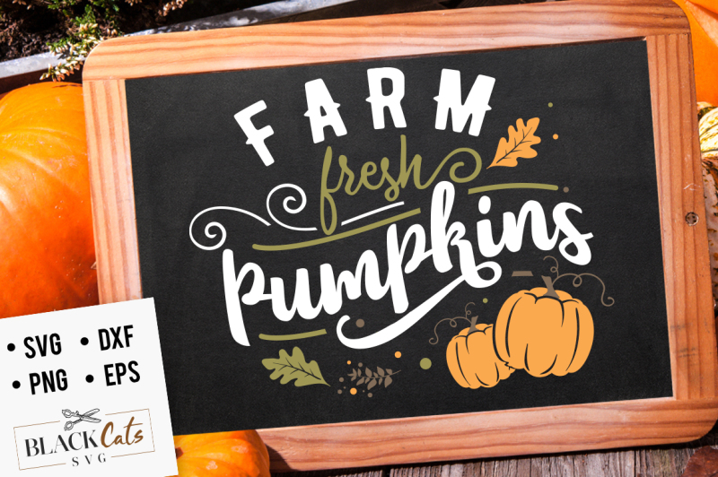 Farm fresh pumpkins SVG By BlackCatsSVG | TheHungryJPEG