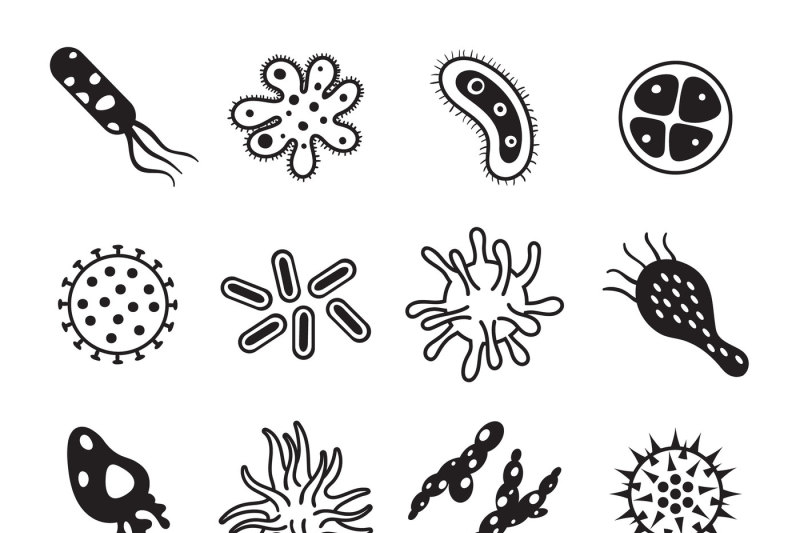 Biology Diseases Virus And Mold Bacteria Hygiene Icon Biological Dise By Tartila Thehungryjpeg Com