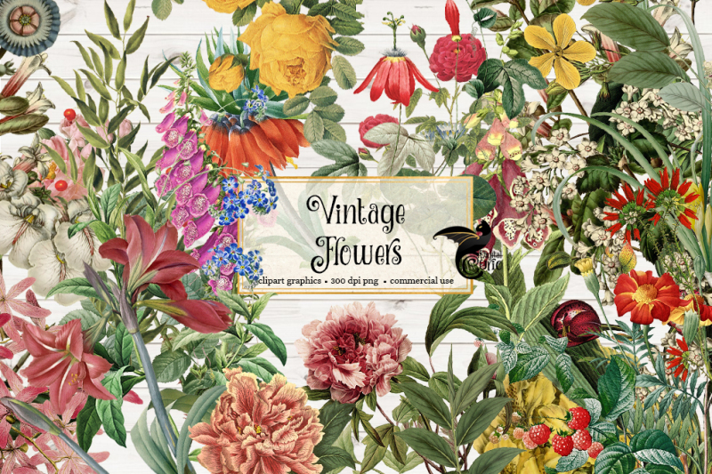 Vintage Flower Clipart By Digital Curio | TheHungryJPEG