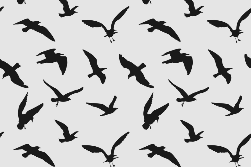 Vector seamless pattern with flying birds By Microvector | TheHungryJPEG