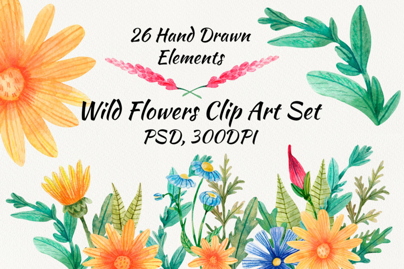 Watercolor Wild Flowers Clip Art By Yana.Trave | TheHungryJPEG